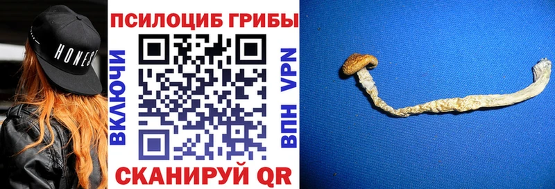 мега сайт  Нижний Тагил  маркетплейс Telegram  Псилоцибиновые грибы Cubensis 