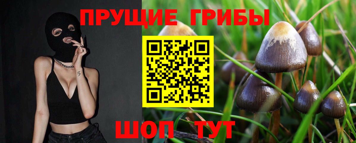 Псилоцибиновые грибы Cubensis Нижний Тагил
