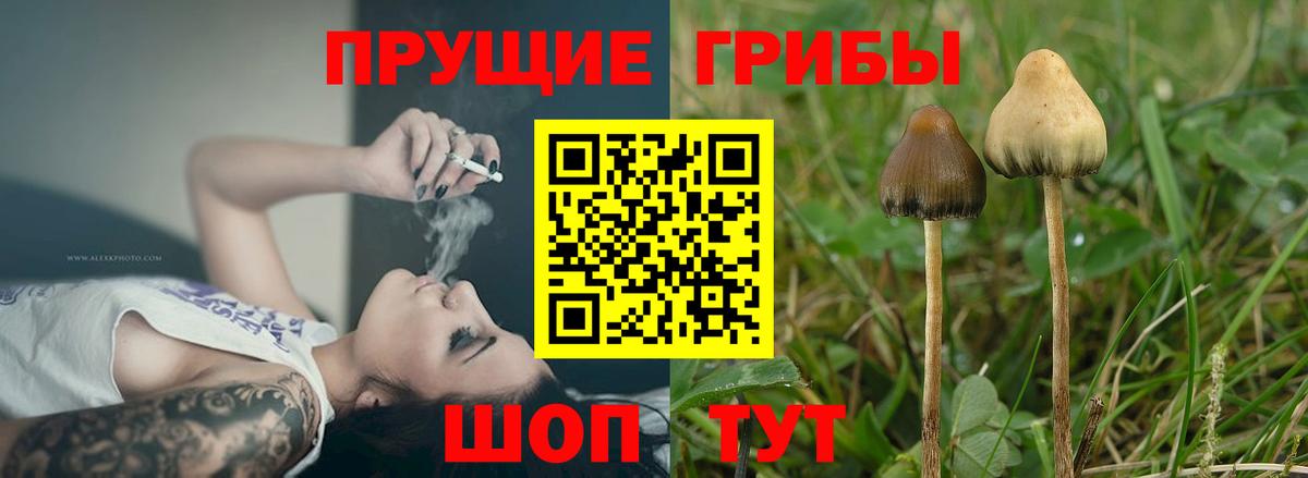 Нижний Тагил  Галлюциногенные грибы Magic Shrooms  Вход с VPN 