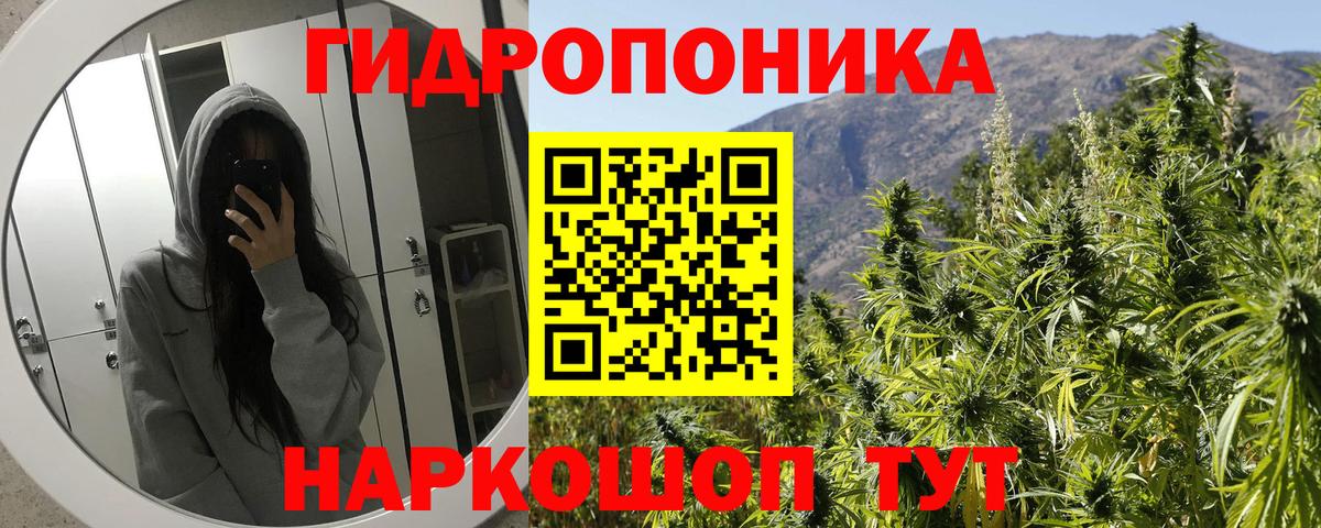 Бошки марихуана конопля Нижний Тагил